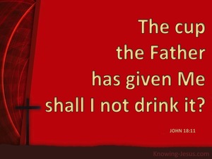 John 18:11